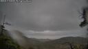 ./images/calvert/fitz-hugh-hecate/20250519/fitz-hugh-hecate20250519_144510M.jpg