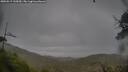 ./images/calvert/fitz-hugh-hecate/20250519/fitz-hugh-hecate20250519_145010M.jpg
