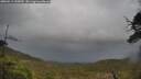 ./images/calvert/fitz-hugh-hecate/20250519/fitz-hugh-hecate20250519_150010M.jpg