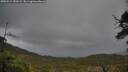 ./images/calvert/fitz-hugh-hecate/20250519/fitz-hugh-hecate20250519_151009M.jpg