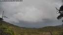 ./images/calvert/fitz-hugh-hecate/20250519/fitz-hugh-hecate20250519_151510M.jpg