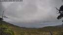 ./images/calvert/fitz-hugh-hecate/20250519/fitz-hugh-hecate20250519_152009M.jpg