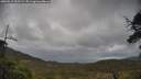 ./images/calvert/fitz-hugh-hecate/20250519/fitz-hugh-hecate20250519_152508M.jpg