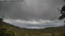 ./images/calvert/fitz-hugh-hecate/20250519/fitz-hugh-hecate20250519_153011M.jpg