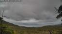 ./images/calvert/fitz-hugh-hecate/20250519/fitz-hugh-hecate20250519_153508M.jpg