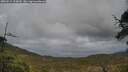 ./images/calvert/fitz-hugh-hecate/20250519/fitz-hugh-hecate20250519_154009M.jpg