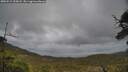 ./images/calvert/fitz-hugh-hecate/20250519/fitz-hugh-hecate20250519_155008M.jpg