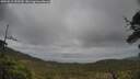 ./images/calvert/fitz-hugh-hecate/20250519/fitz-hugh-hecate20250519_155509M.jpg