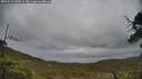 ./images/calvert/fitz-hugh-hecate/20250519/fitz-hugh-hecate20250519_160009M.jpg