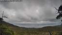 ./images/calvert/fitz-hugh-hecate/20250519/fitz-hugh-hecate20250519_160510M.jpg