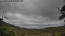 ./images/calvert/fitz-hugh-hecate/20250519/fitz-hugh-hecate20250519_161009M.jpg