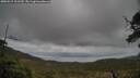 ./images/calvert/fitz-hugh-hecate/20250519/fitz-hugh-hecate20250519_161510M.jpg