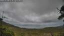 ./images/calvert/fitz-hugh-hecate/20250519/fitz-hugh-hecate20250519_162009M.jpg