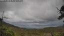 ./images/calvert/fitz-hugh-hecate/20250519/fitz-hugh-hecate20250519_162509M.jpg