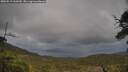 ./images/calvert/fitz-hugh-hecate/20250519/fitz-hugh-hecate20250519_163510M.jpg