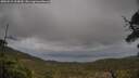 ./images/calvert/fitz-hugh-hecate/20250519/fitz-hugh-hecate20250519_164510M.jpg