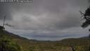 ./images/calvert/fitz-hugh-hecate/20250519/fitz-hugh-hecate20250519_165007M.jpg