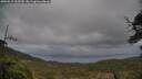 ./images/calvert/fitz-hugh-hecate/20250519/fitz-hugh-hecate20250519_165509M.jpg