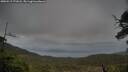 ./images/calvert/fitz-hugh-hecate/20250519/fitz-hugh-hecate20250519_171008M.jpg