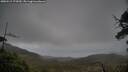 ./images/calvert/fitz-hugh-hecate/20250519/fitz-hugh-hecate20250519_172009M.jpg