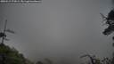 ./images/calvert/fitz-hugh-hecate/20250519/fitz-hugh-hecate20250519_173009M.jpg