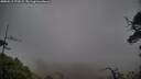 ./images/calvert/fitz-hugh-hecate/20250519/fitz-hugh-hecate20250519_173509M.jpg
