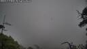 ./images/calvert/fitz-hugh-hecate/20250519/fitz-hugh-hecate20250519_174010M.jpg