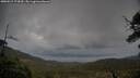 ./images/calvert/fitz-hugh-hecate/20250519/fitz-hugh-hecate20250519_174510M.jpg