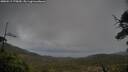 ./images/calvert/fitz-hugh-hecate/20250519/fitz-hugh-hecate20250519_175010M.jpg
