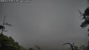 ./images/calvert/fitz-hugh-hecate/20250519/fitz-hugh-hecate20250519_175509M.jpg