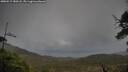 ./images/calvert/fitz-hugh-hecate/20250519/fitz-hugh-hecate20250519_180508M.jpg