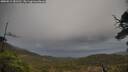 ./images/calvert/fitz-hugh-hecate/20250519/fitz-hugh-hecate20250519_181510M.jpg