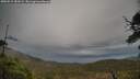 ./images/calvert/fitz-hugh-hecate/20250519/fitz-hugh-hecate20250519_182009M.jpg