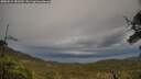 ./images/calvert/fitz-hugh-hecate/20250519/fitz-hugh-hecate20250519_182510M.jpg