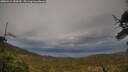 ./images/calvert/fitz-hugh-hecate/20250519/fitz-hugh-hecate20250519_183010M.jpg