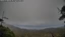 ./images/calvert/fitz-hugh-hecate/20250519/fitz-hugh-hecate20250519_184510M.jpg