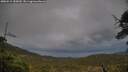 ./images/calvert/fitz-hugh-hecate/20250519/fitz-hugh-hecate20250519_185010M.jpg