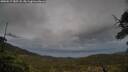 ./images/calvert/fitz-hugh-hecate/20250519/fitz-hugh-hecate20250519_185508M.jpg