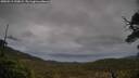 ./images/calvert/fitz-hugh-hecate/20250519/fitz-hugh-hecate20250519_190009M.jpg