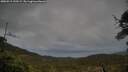 ./images/calvert/fitz-hugh-hecate/20250519/fitz-hugh-hecate20250519_190508M.jpg