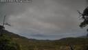 ./images/calvert/fitz-hugh-hecate/20250519/fitz-hugh-hecate20250519_191008M.jpg