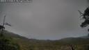 ./images/calvert/fitz-hugh-hecate/20250519/fitz-hugh-hecate20250519_192008M.jpg