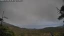 ./images/calvert/fitz-hugh-hecate/20250519/fitz-hugh-hecate20250519_192508M.jpg