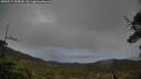 ./images/calvert/fitz-hugh-hecate/20250519/fitz-hugh-hecate20250519_193008M.jpg