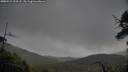 ./images/calvert/fitz-hugh-hecate/20250519/fitz-hugh-hecate20250519_194508M.jpg