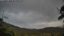 ./images/calvert/fitz-hugh-hecate/20250519/fitz-hugh-hecate20250519_195006M.jpg