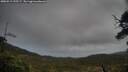 ./images/calvert/fitz-hugh-hecate/20250519/fitz-hugh-hecate20250519_195507M.jpg