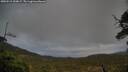 ./images/calvert/fitz-hugh-hecate/20250519/fitz-hugh-hecate20250519_200006M.jpg