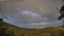 ./images/calvert/fitz-hugh-hecate/20250519/fitz-hugh-hecate20250519_200507M.jpg