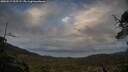 ./images/calvert/fitz-hugh-hecate/20250519/fitz-hugh-hecate20250519_202505M.jpg